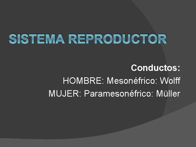 SISTEMA REPRODUCTOR Conductos: HOMBRE: Mesonéfrico: Wolff MUJER: Paramesonéfrico: Müller 