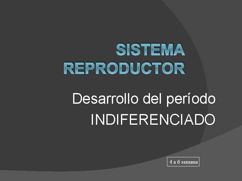 SISTEMA REPRODUCTOR Desarrollo del período INDIFERENCIADO 4 a 6 semana 