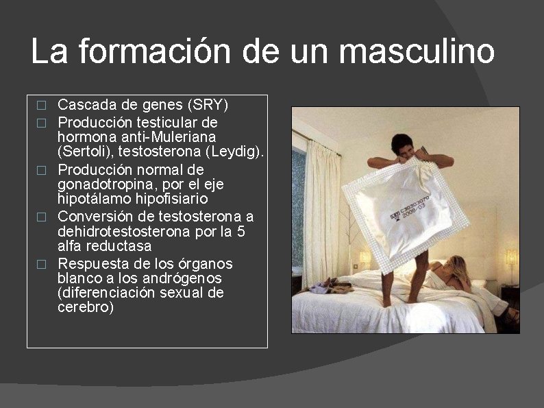 La formación de un masculino Cascada de genes (SRY) Producción testicular de hormona anti-Muleriana