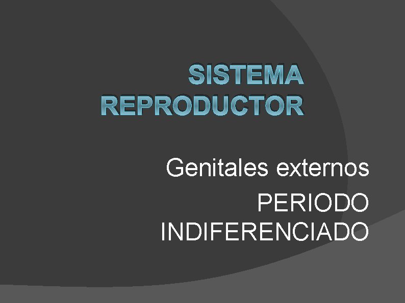 SISTEMA REPRODUCTOR Genitales externos PERIODO INDIFERENCIADO 