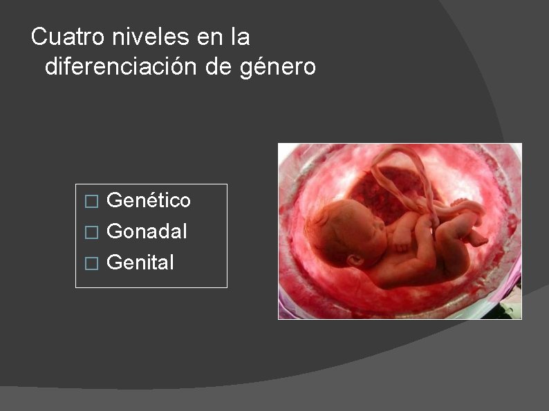 Cuatro niveles en la diferenciación de género Genético � Gonadal � Genital � 