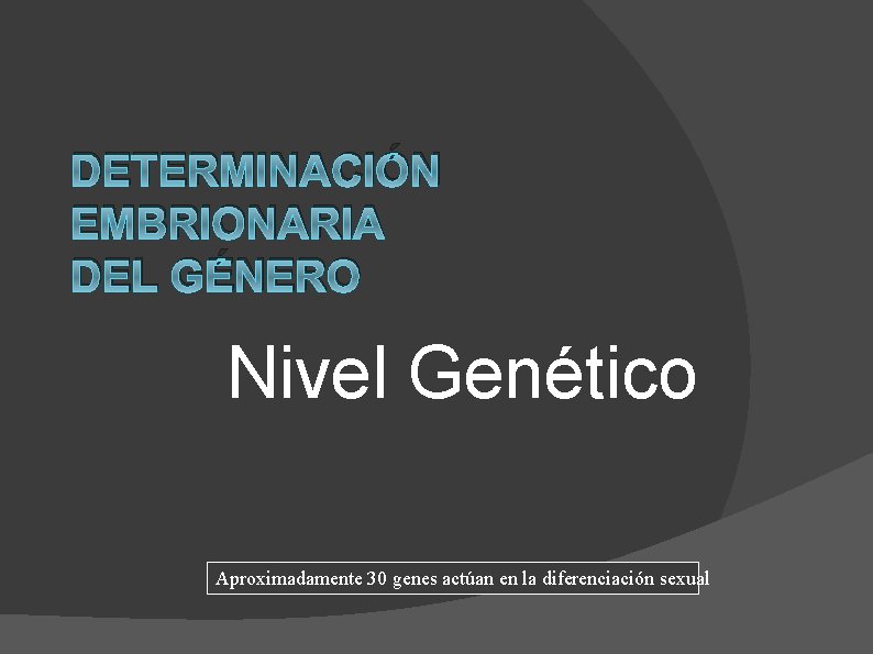 DETERMINACIÓN EMBRIONARIA DEL GÉNERO Nivel Genético Aproximadamente 30 genes actúan en la diferenciación sexual