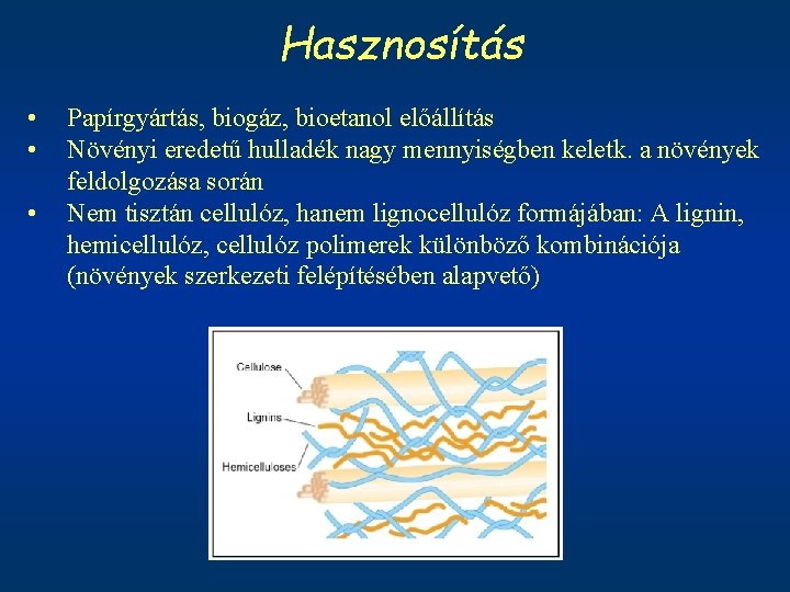 Hasznosítás • • • Papírgyártás, biogáz, bioetanol előállítás Növényi eredetű hulladék nagy mennyiségben keletk.