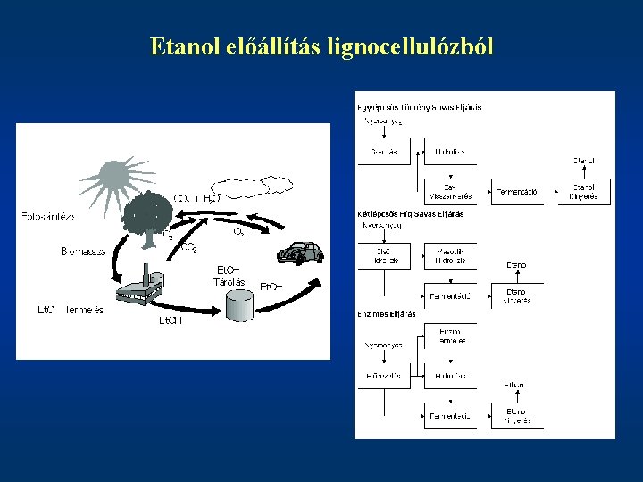 Etanol előállítás lignocellulózból 