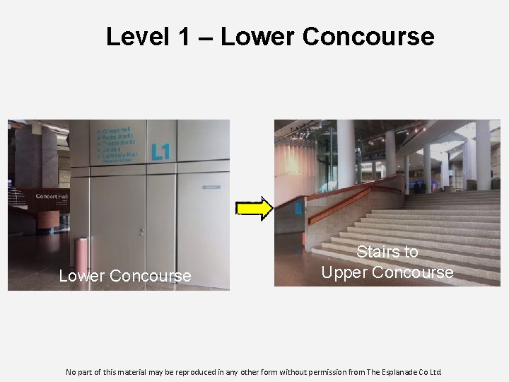 Level 1 – Lower Concourse Stairs to Upper Concourse No part of this material