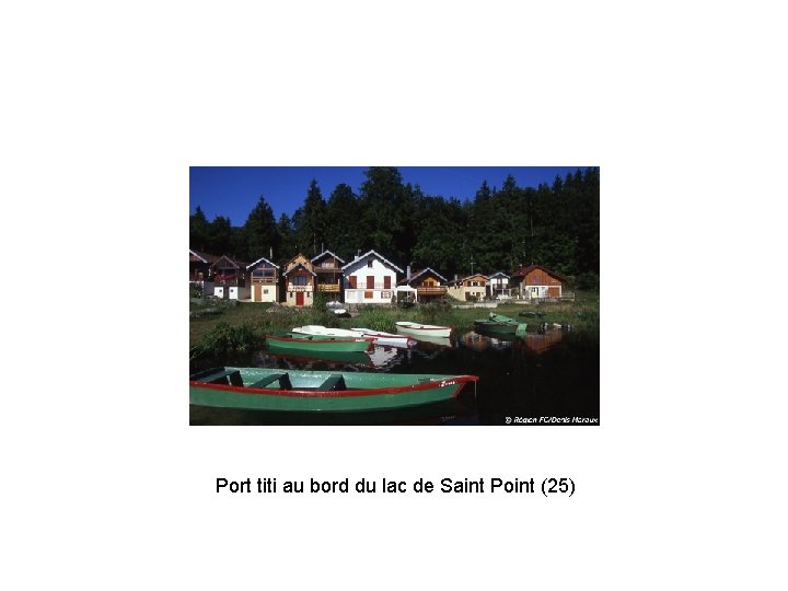 Port titi au bord du lac de Saint Point (25) 