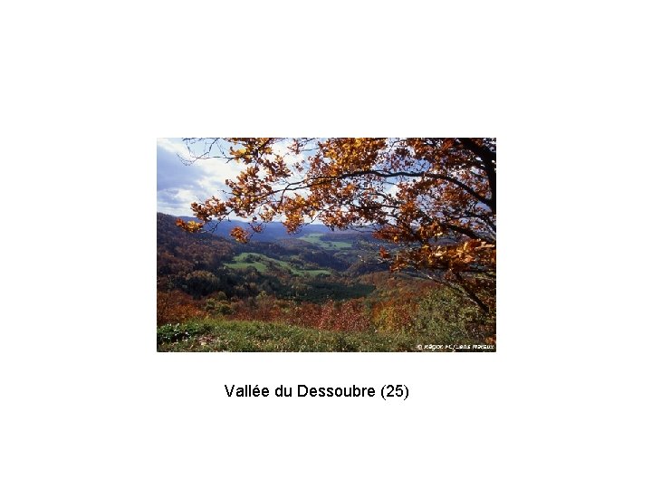 Vallée du Dessoubre (25) 