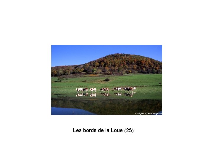 Les bords de la Loue (25) 