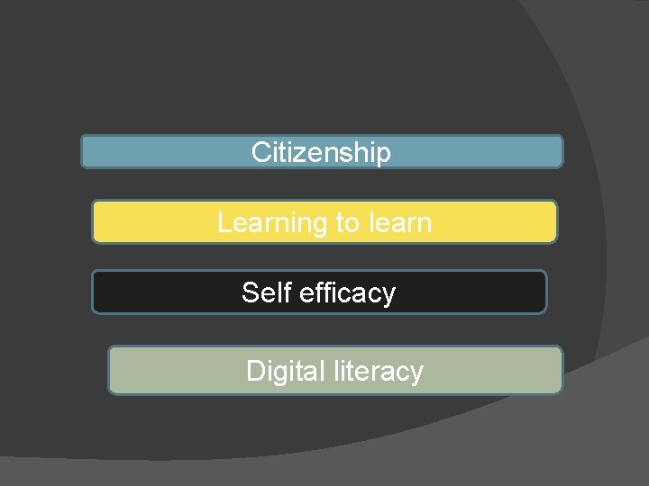 Citizenship Learning to learn Self efficacy Digital literacy 