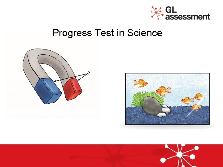 Progress Test in Science 