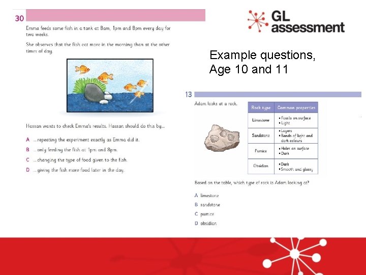 Example questions, Age 10 and 11 