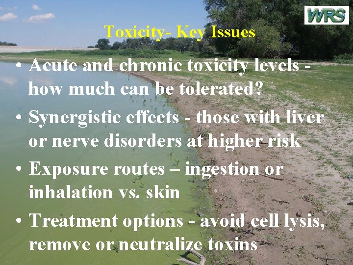 Toxicity- Key Issues • Acute and chronic toxicity levels how much can be tolerated?