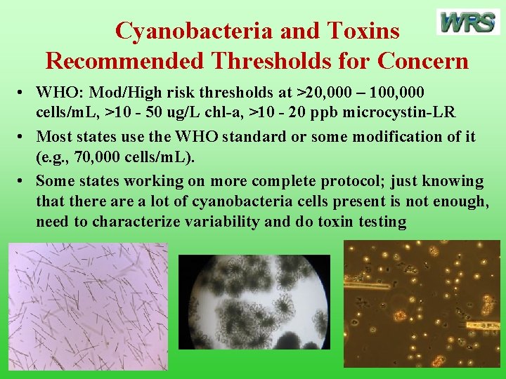 Cyanobacteria and Toxins Recommended Thresholds for Concern • WHO: Mod/High risk thresholds at >20,