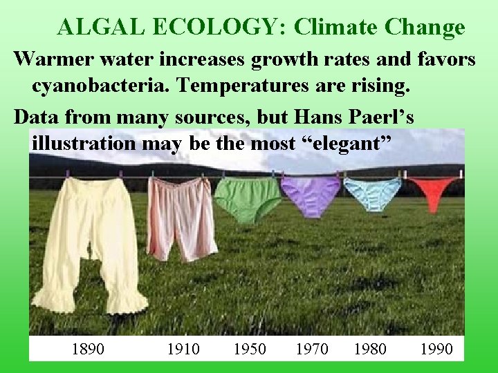 ALGAL ECOLOGY: Climate Change Warmer water increases growth rates and favors cyanobacteria. Temperatures are