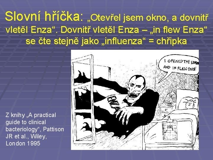 Slovní hříčka: „Otevřel jsem okno, a dovnitř vletěl Enza“. Dovnitř vletěl Enza – „in