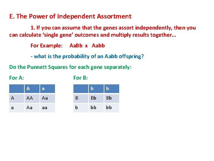 E. The Power of Independent Assortment 1. If you can assume that the genes E. The Power of Independent Assortment 1. If you can assume that the genes