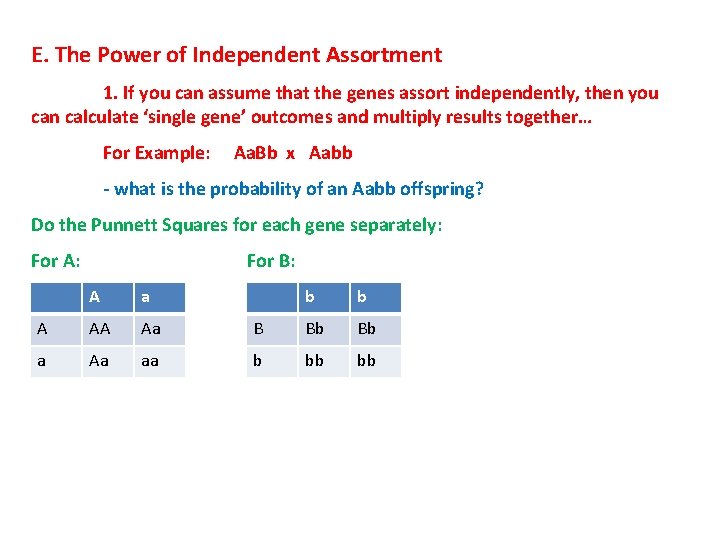 E. The Power of Independent Assortment 1. If you can assume that the genes