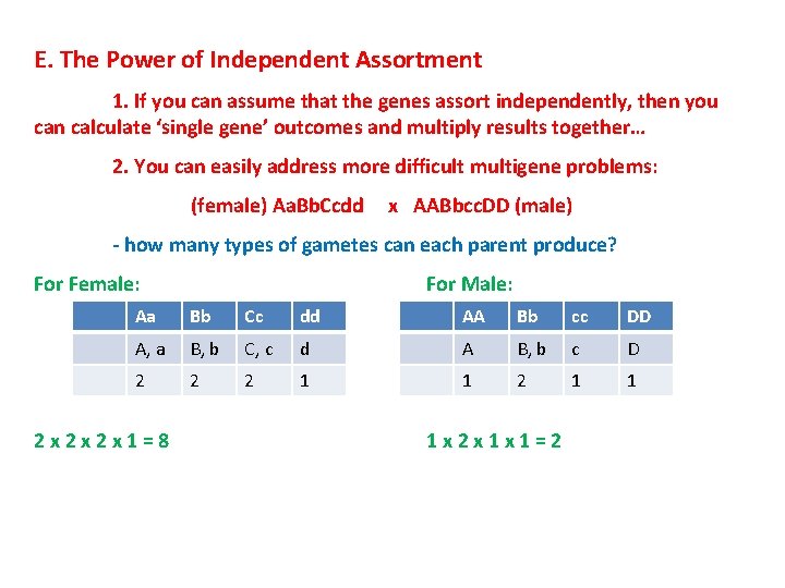 E. The Power of Independent Assortment 1. If you can assume that the genes E. The Power of Independent Assortment 1. If you can assume that the genes