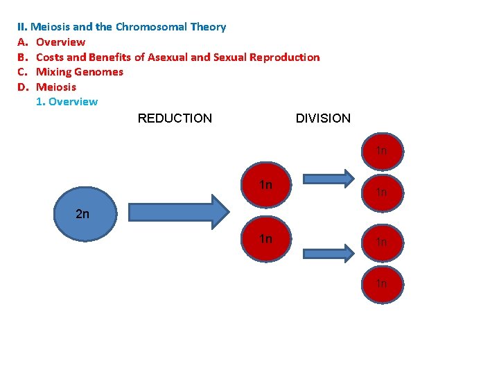 II. Meiosis and the Chromosomal Theory A. Overview B. Costs and Benefits of Asexual