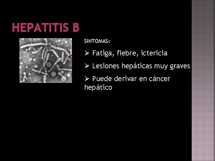 HEPATITIS B SINTOMAS: Ø Fatiga, fiebre, ictericia Ø Lesiones hepáticas muy graves Ø Puede