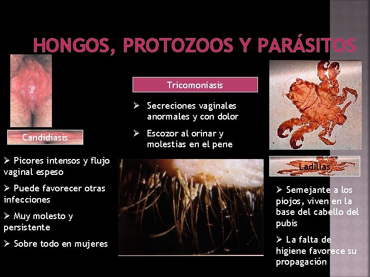 HONGOS, PROTOZOOS Y PARÁSITOS Tricomoniasis Ø Secreciones vaginales anormales y con dolor Candidiasis Ø