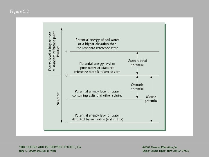 Figure 5. 8 THE NATURE AND PROPERTIES OF SOILS, 13/e Nyle C. Brady and
