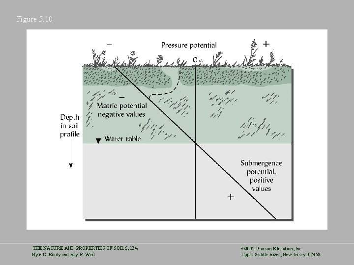 Figure 5. 10 THE NATURE AND PROPERTIES OF SOILS, 13/e Nyle C. Brady and
