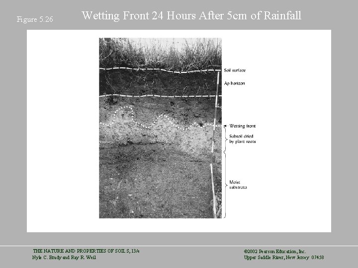 Figure 5. 26 Wetting Front 24 Hours After 5 cm of Rainfall THE NATURE