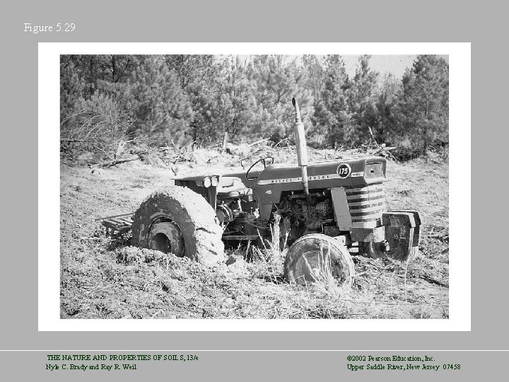 Figure 5. 29 THE NATURE AND PROPERTIES OF SOILS, 13/e Nyle C. Brady and