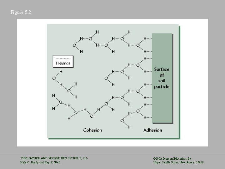 Figure 5. 2 THE NATURE AND PROPERTIES OF SOILS, 13/e Nyle C. Brady and