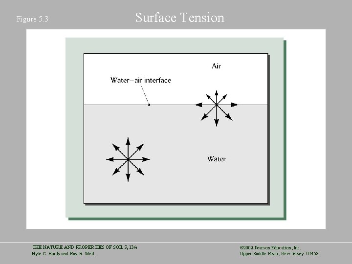 Figure 5. 3 Surface Tension THE NATURE AND PROPERTIES OF SOILS, 13/e Nyle C.