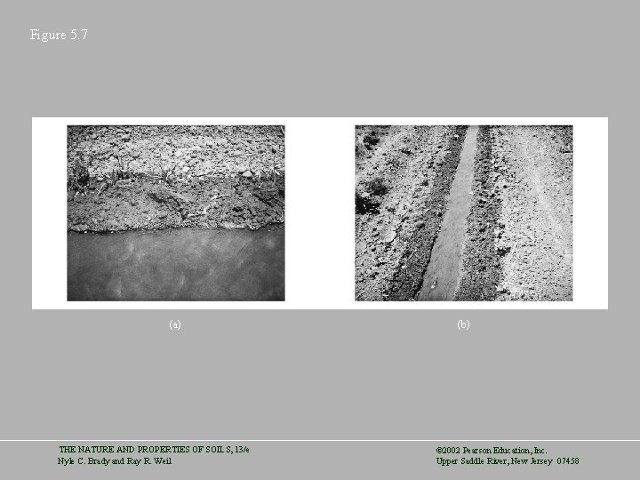 Figure 5. 7 (a) THE NATURE AND PROPERTIES OF SOILS, 13/e Nyle C. Brady
