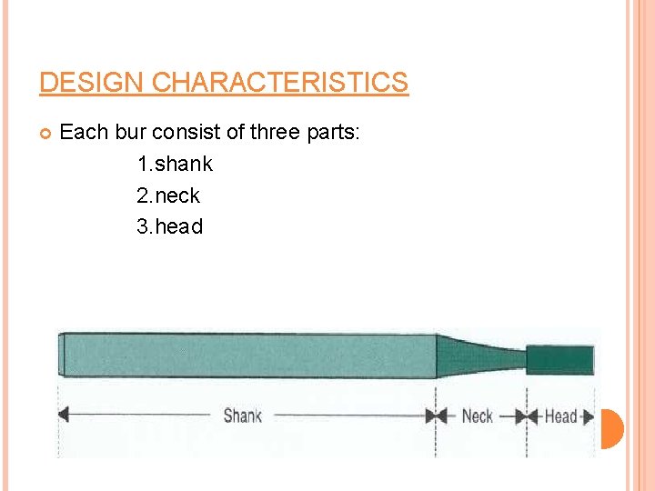 DESIGN CHARACTERISTICS Each bur consist of three parts: 1. shank 2. neck 3. head