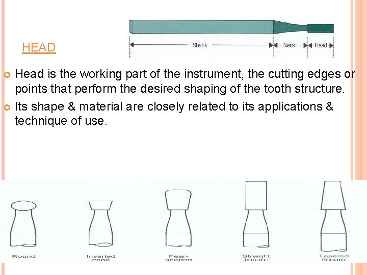 HEAD Head is the working part of the instrument, the cutting edges or points