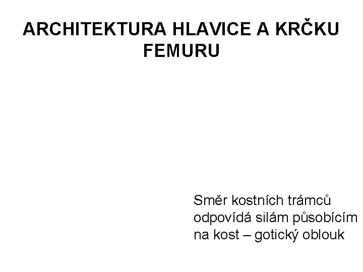 ARCHITEKTURA HLAVICE A KRČKU FEMURU Směr kostních trámců odpovídá silám působícím na kost –