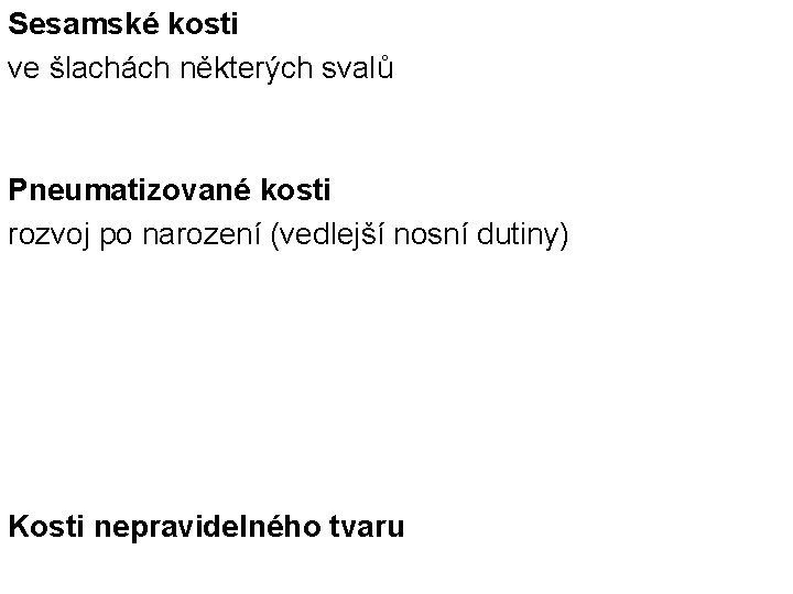 Sesamské kosti ve šlachách některých svalů Pneumatizované kosti rozvoj po narození (vedlejší nosní dutiny)