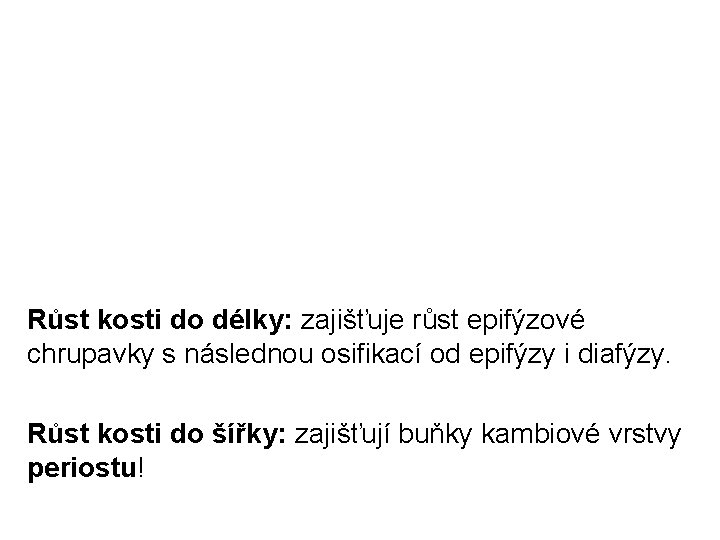 Růst kosti do délky: zajišťuje růst epifýzové chrupavky s následnou osifikací od epifýzy i