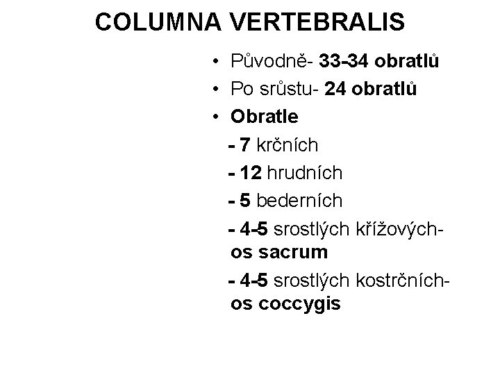 COLUMNA VERTEBRALIS • Původně- 33 -34 obratlů • Po srůstu- 24 obratlů • Obratle