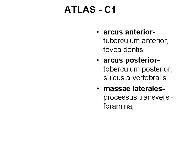 ATLAS - C 1 • arcus anteriortuberculum anterior, fovea dentis • arcus posteriortoberculum posterior,