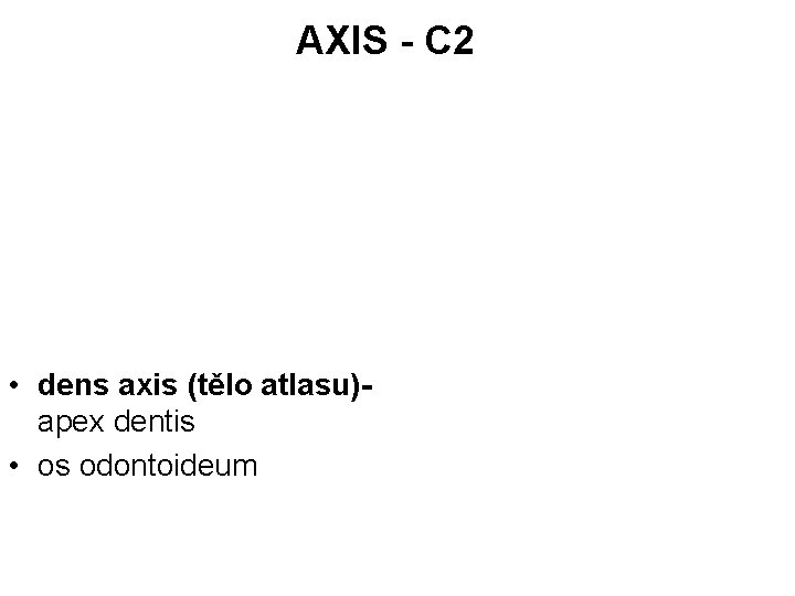 AXIS - C 2 • dens axis (tělo atlasu)apex dentis • os odontoideum 