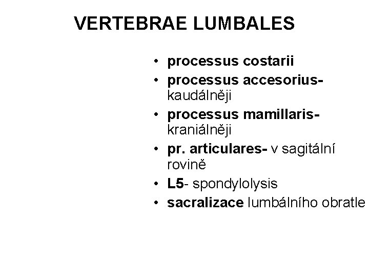 VERTEBRAE LUMBALES • processus costarii • processus accesoriuskaudálněji • processus mamillariskraniálněji • pr. articulares-