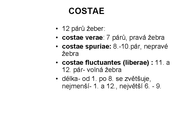 COSTAE • 12 párů žeber: • costae verae: 7 párů, pravá žebra • costae