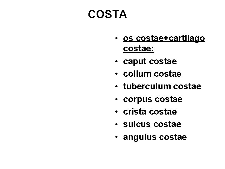 COSTA • os costae+cartilago costae: • caput costae • collum costae • tuberculum costae