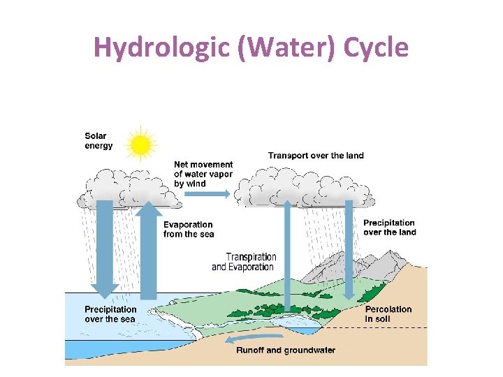 Hydrologic (Water) Cycle 