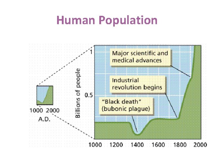 Human Population 