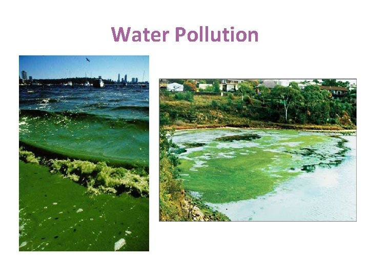 Water Pollution 