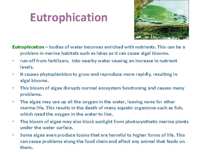 Eutrophication – bodies of water becomes enriched with nutrients. This can be a problem