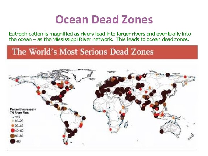 Ocean Dead Zones Eutrophication is magnified as rivers lead into larger rivers and eventually