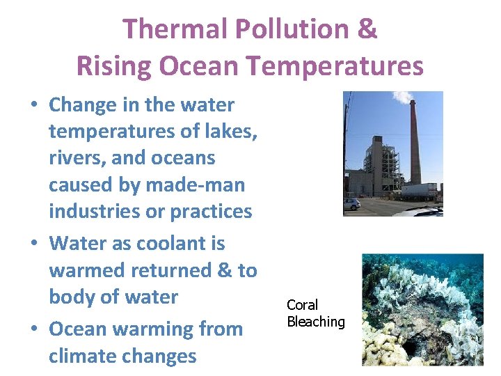 Thermal Pollution & Rising Ocean Temperatures • Change in the water temperatures of lakes,